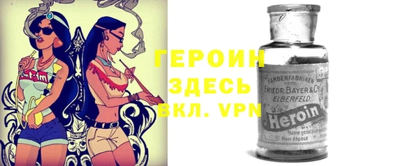 прущие грибы Медвежьегорск