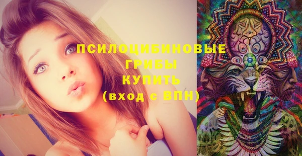 мет Михайлов