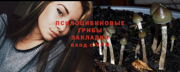 каннабис Михайловск